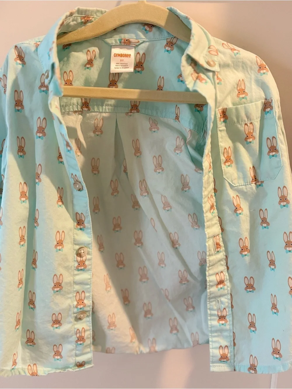 Gymboree Mint Green Bunny Print Button-Up Shirt and Chino Pants